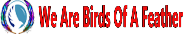 We Are Birds Of A Feather